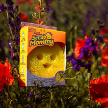 Načíst obrázek do prohlížeče Galerie, Scrub Mommy Special Edition - Chick