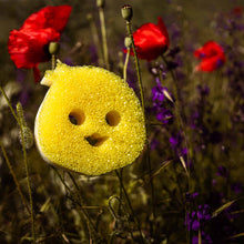 Načíst obrázek do prohlížeče Galerie, Scrub Mommy Special Edition - Chick