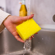 Načíst obrázek do prohlížeče Galerie, Scrub Basics houbička na mytí nádobí
