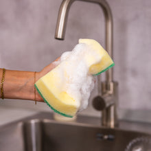 Načíst obrázek do prohlížeče Galerie, XL Sponge Daddy®- Professional Collection