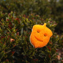 Načíst obrázek do prohlížeče Galerie, Scrub Mommy Special Edition - Žalud