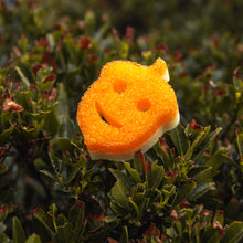 Načíst obrázek do prohlížeče Galerie, Scrub Mommy Special Edition - Žalud