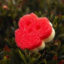 Načíst obrázek do prohlížeče Galerie, Scrub Mommy Special Edition - Sova