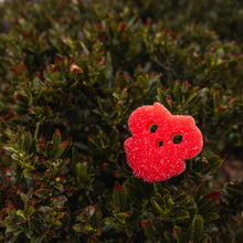 Načíst obrázek do prohlížeče Galerie, Scrub Mommy Special Edition - Sova