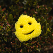 Načíst obrázek do prohlížeče Galerie, Scrub Mommy Special Edition - List