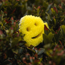 Načíst obrázek do prohlížeče Galerie, Scrub Mommy Special Edition - List