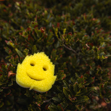 Načíst obrázek do prohlížeče Galerie, Scrub Mommy Special Edition - List