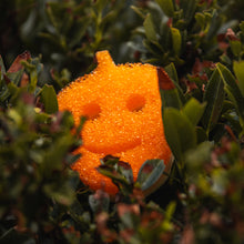 Načíst obrázek do prohlížeče Galerie, Scrub Mommy Special Edition - Žalud