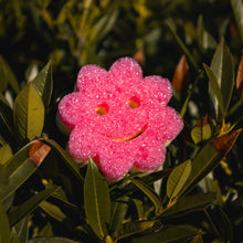 Načíst obrázek do prohlížeče Galerie, Scrub Mommy Power Flower pink (1 ks)