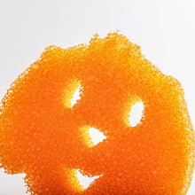 Načíst obrázek do prohlížeče Galerie, Scrub Daddy Dog (1 ks)
