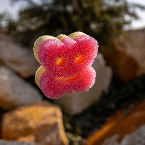 Scrub Mommy Special Edition - Butterfly