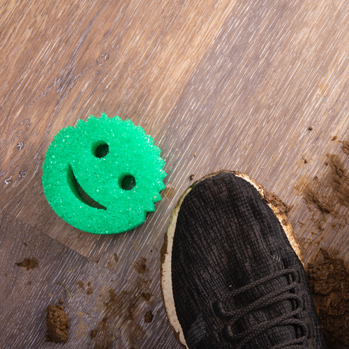 Scrub Daddy Colors® zelená (1 ks)